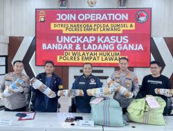 GEMPAR! Ladang Ganja 20 Hektar di Empat Lawang Dibongkar Polda Sumsel