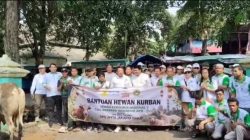 Dengan Semangat Kebersamaan Idul Adha, APPSI Jak-Bar  Sembelih  5 Ekor Sapi di  Pasar  Duta Mas