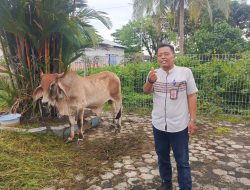 KSOP Pulang Pisau Tebar Kepedulian Lewat Kurban 2 Ekor Sapi dan 3 Ekor Kambing