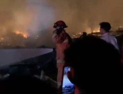 Kebakaran Hebat  Hanguskan 3 Kandang Ayam di Tengah Lahan Pertanian, Sragen.