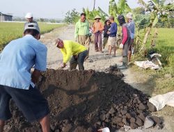 Warga Mangunsari Pemalang Gotong Royong Bangun Jalan Sendiri, Tanpa Menunggu Bantuan Pemerintah