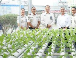 Peresmian Hidroponik dan Budidaya Ikan Air Tawar Lapas Kelas I Medan